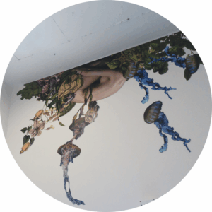 NYX ceiling