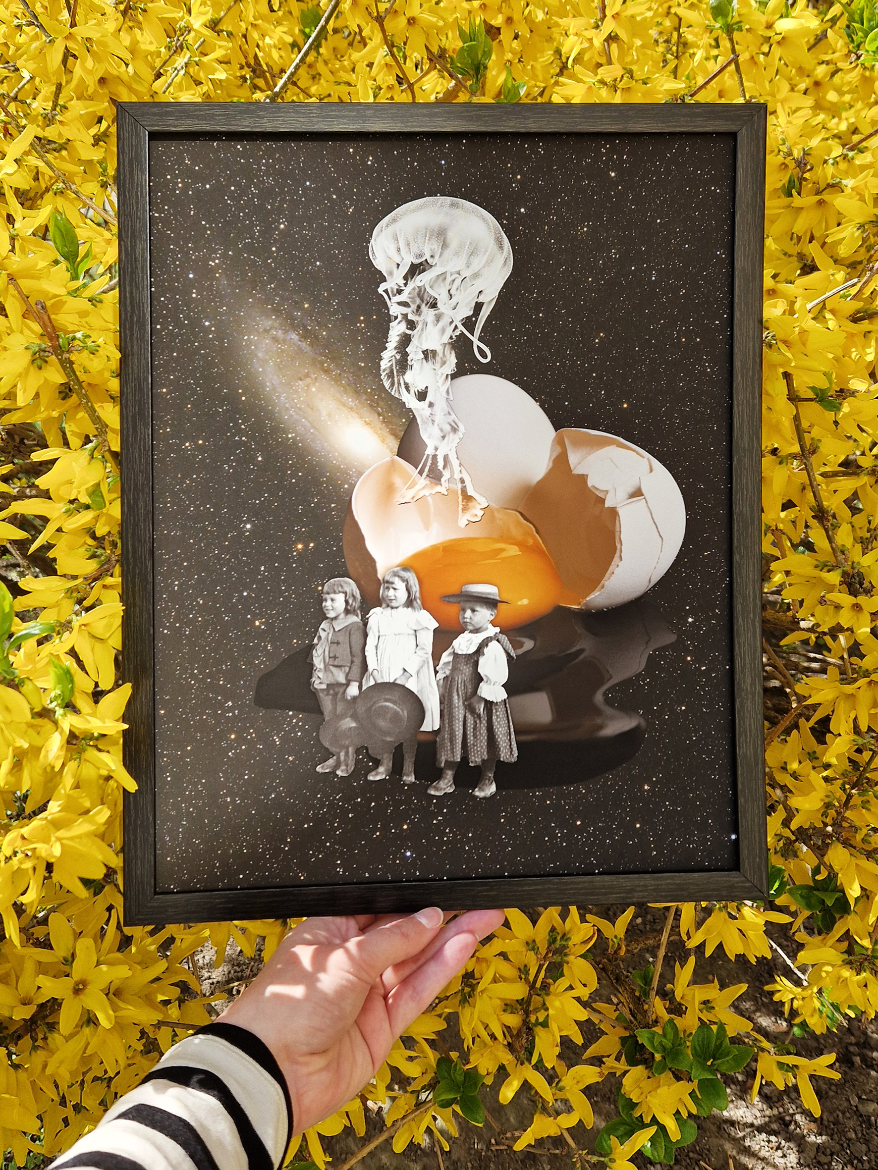 Jajeczny kosmos 4 Jajeczny kosmos - obrazek 4