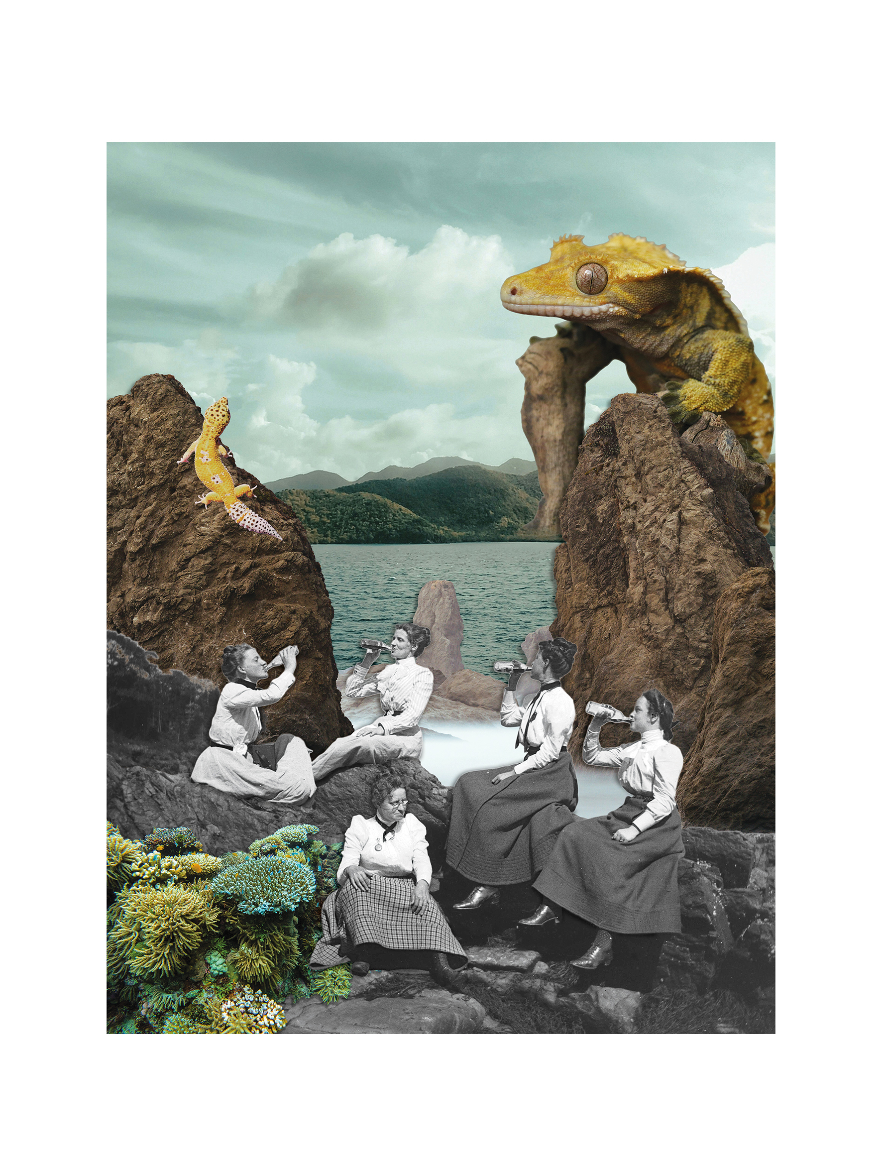 Toast 2 Toast - obrazek 2